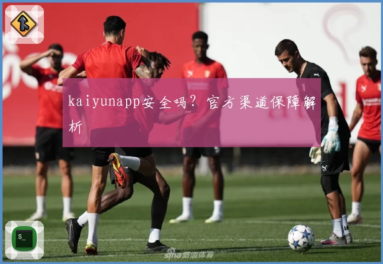 kaiyunapp安全吗？官方渠道保障解析